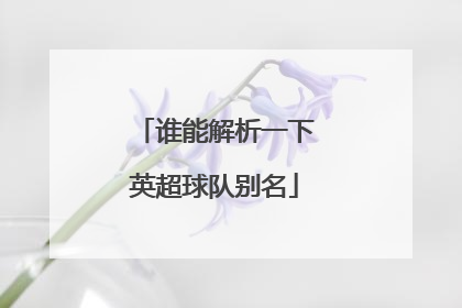 谁能解析一下英超球队别名