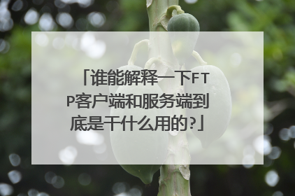 谁能解释一下FTP客户端和服务端到底是干什么用的?