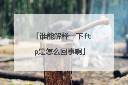 谁能解释一下ftp是怎么回事啊