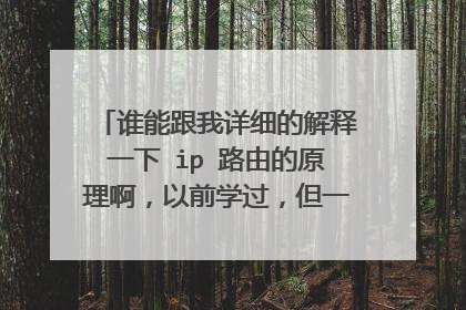 谁能跟我详细的解释一下 ip 路由的原理啊,以前学过,但一直都是模模糊糊的感觉。感激不尽啊。。。