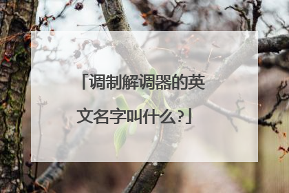 调制解调器的英文名字叫什么?