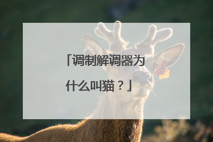 调制解调器为什么叫猫？