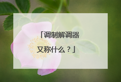 调制解调器又称什么？