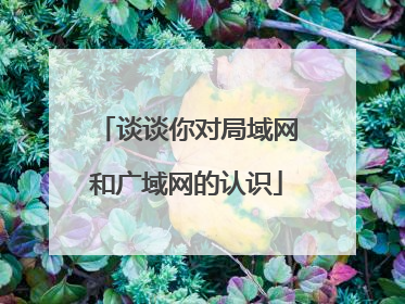 谈谈你对局域网和广域网的认识