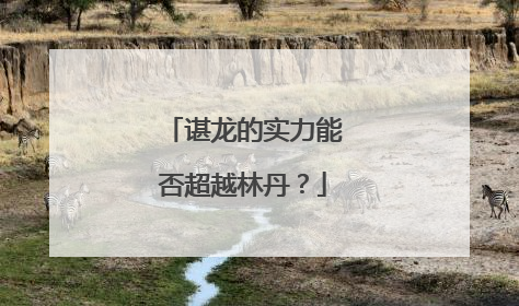 谌龙的实力能否超越林丹？