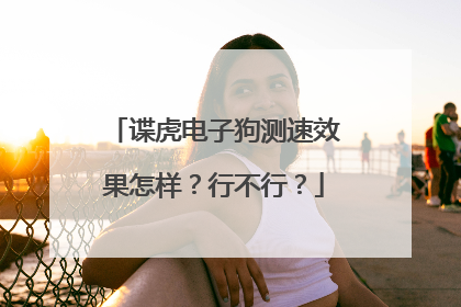谍虎电子狗测速效果怎样?行不行?