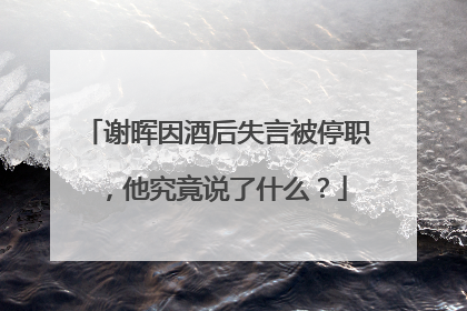 谢晖因酒后失言被停职，他究竟说了什么？
