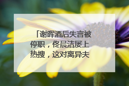 谢晖酒后失言被停职，佟晨洁屡上热搜，这对离异夫妻最近都遇困境
