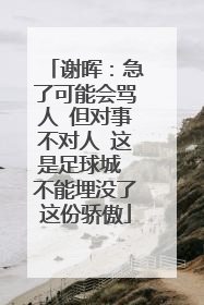谢晖：急了可能会骂人 但对事不对人 这是足球城 不能埋没了这份骄傲