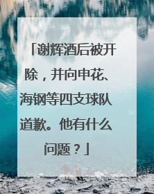 谢辉酒后被开除，并向申花、海钢等四支球队道歉。他有什么问题？