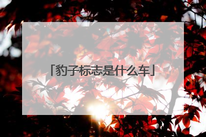 豹子标志是什么车