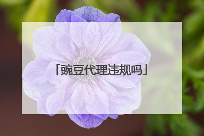 豌豆代理违规吗