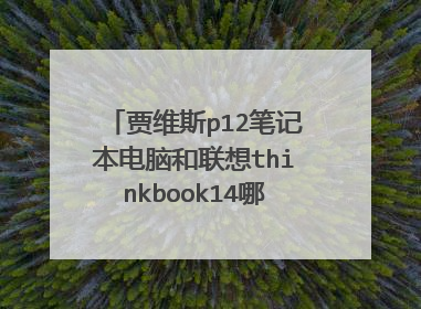 贾维斯p12笔记本电脑和联想thinkbook14哪个性价比高