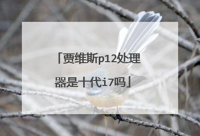 贾维斯p12处理器是十代i7吗