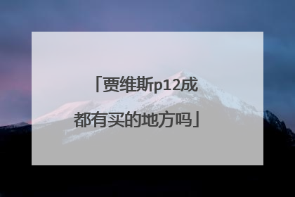 贾维斯p12成都有买的地方吗