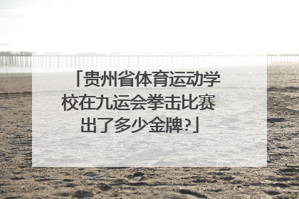 贵州省体育运动学校在九运会拳击比赛出了多少金牌?
