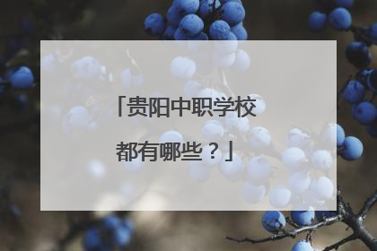 贵阳中职学校都有哪些？