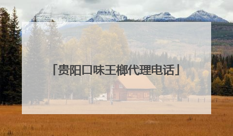 贵阳口味王榔代理电话