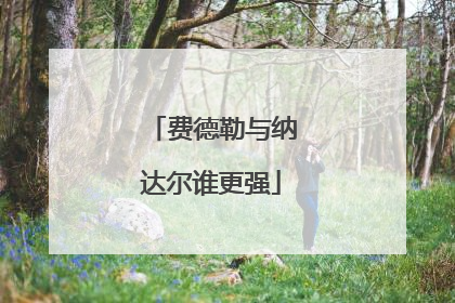 费德勒与纳达尔谁更强