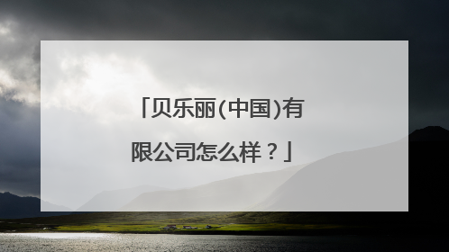 贝乐丽(中国)有限公司怎么样？