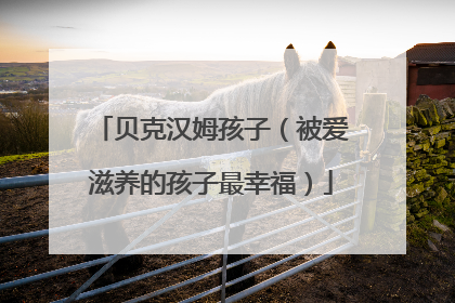 贝克汉姆孩子（被爱滋养的孩子最幸福）