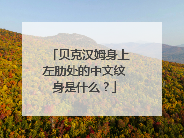 贝克汉姆身上左肋处的中文纹身是什么？