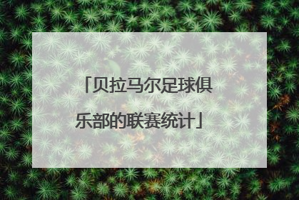 贝拉马尔足球俱乐部的联赛统计