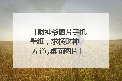 财神爷图片手机壁纸,求横财神-左道,桌面图片