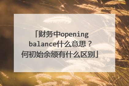 财务中opening balance什么意思?何初始余额有什么区别