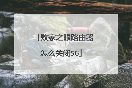 败家之眼路由器怎么关闭5G