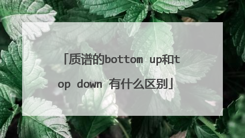 质谱的bottom up和top down 有什么区别