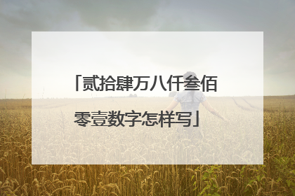 贰拾肆万八仟叁佰零壹数字怎样写