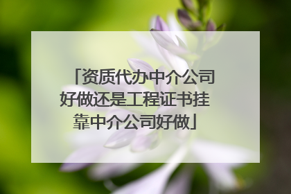 资质代办中介公司好做还是工程证书挂靠中介公司好做