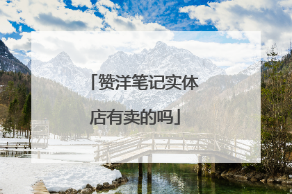 赞洋笔记实体店有卖的吗