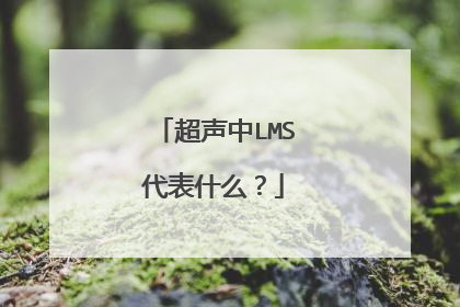 超声中LMS代表什么？