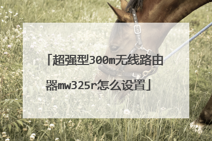 超强型300m无线路由器mw325r怎么设置