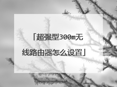 超强型300m无线路由器怎么设置