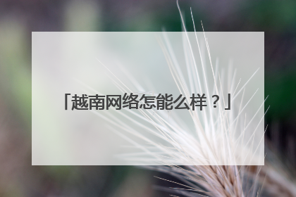 越南网络怎能么样？