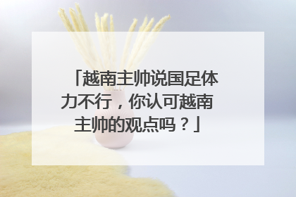 越南主帅说国足体力不行,你认可越南主帅的观点吗?