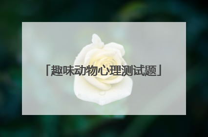 趣味动物心理测试题