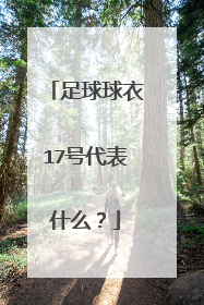足球球衣17号代表什么?