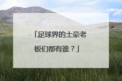 足球界的土豪老板们都有谁？