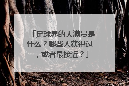 足球界的大满贯是什么?哪些人获得过,或者最接近?