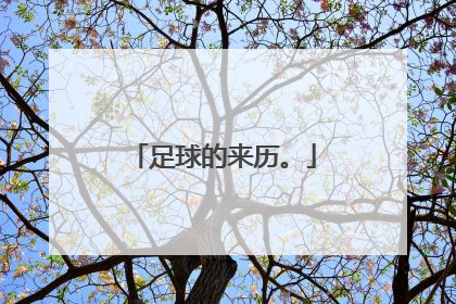 足球的来历。