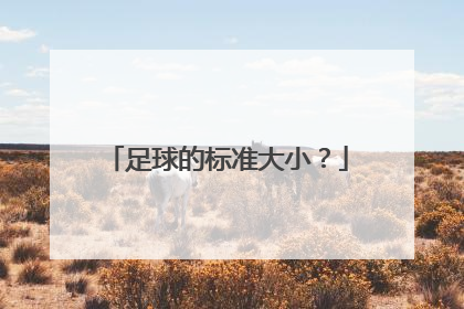 足球的标准大小？