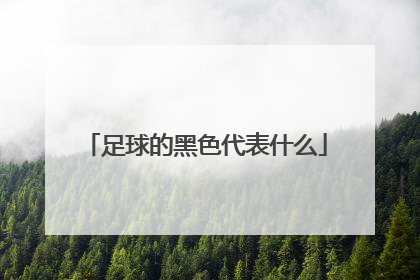 足球的黑色代表什么