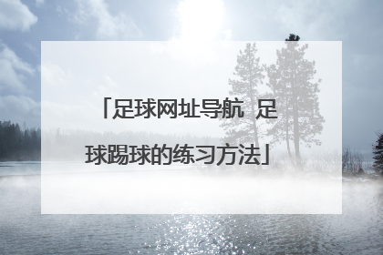足球网址导航 足球踢球的练习方法