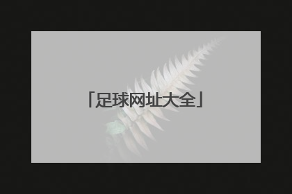 足球网址大全