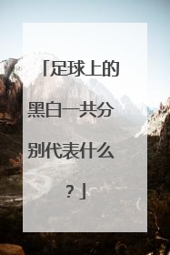 足球上的黑白一共分别代表什么?