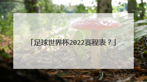 足球世界杯2022赛程表？